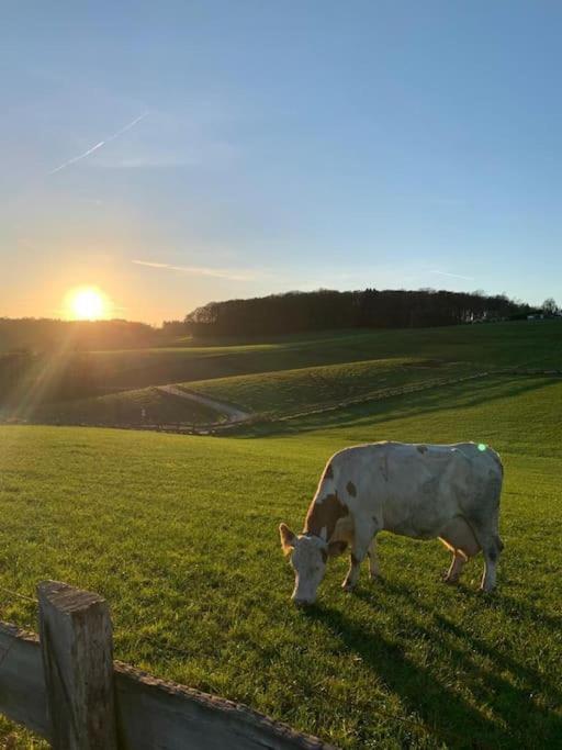 Bueschem Wohlfuehlparadies *