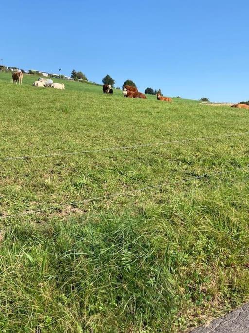 Apartment Bueschem Wohlfuehlparadies Lindlar